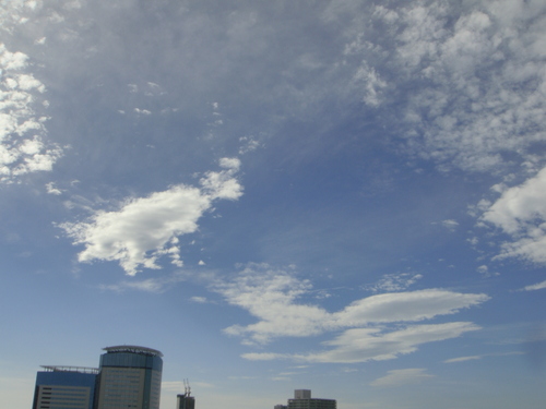 a0167803_7382682.jpg