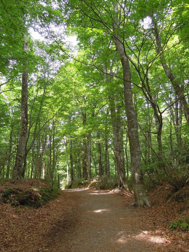 c0149408_17135116.jpg