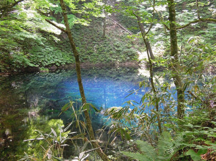 c0149408_17144910.jpg
