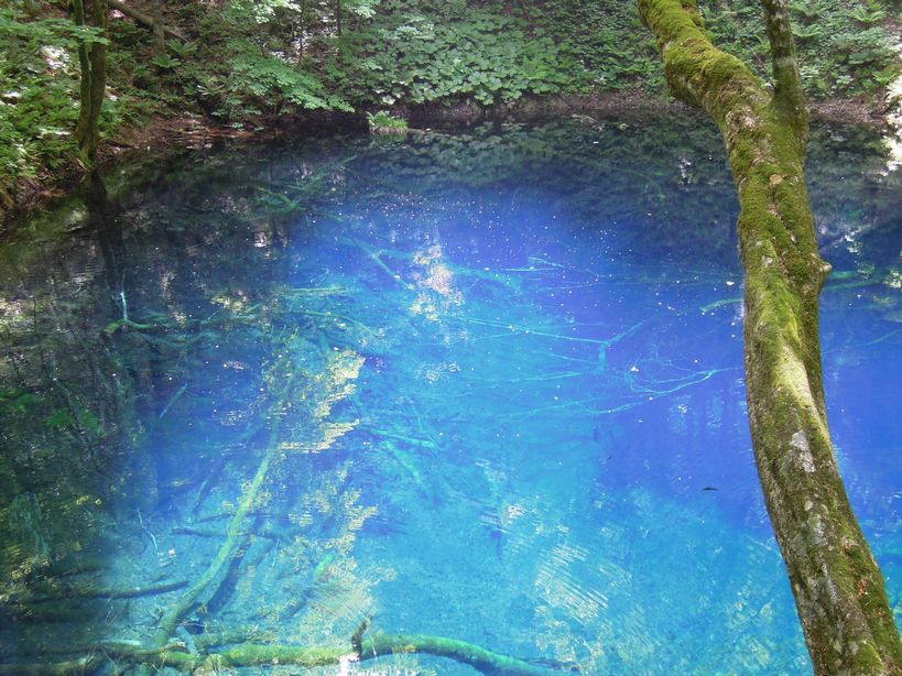 c0149408_17162548.jpg