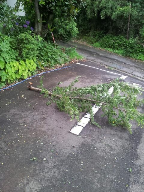 e0015108_1247198.jpg