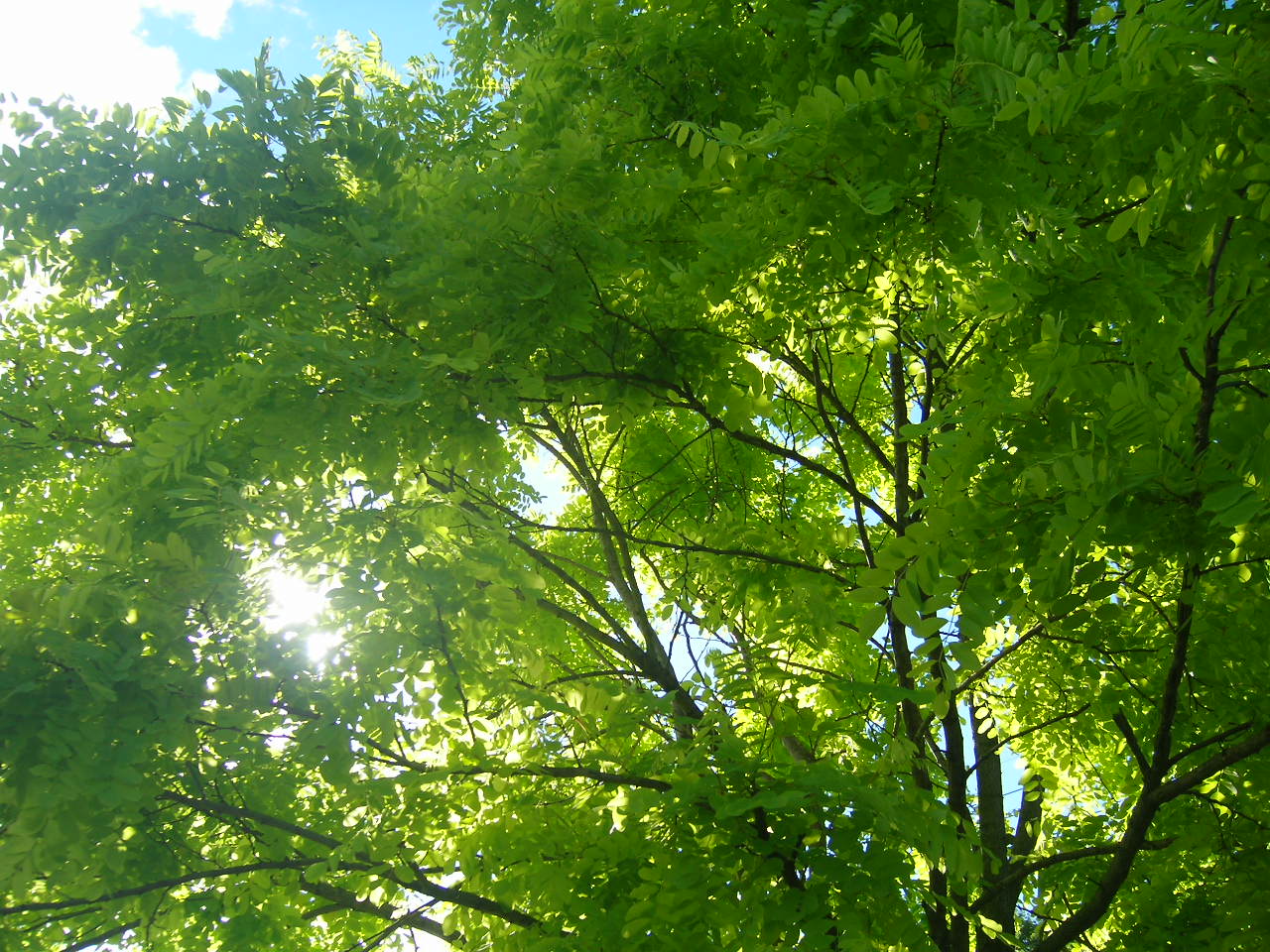 e0255117_731483.jpg