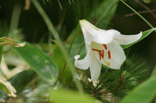 c0042418_20504895.jpg