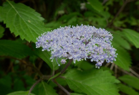 c0042418_20543486.jpg