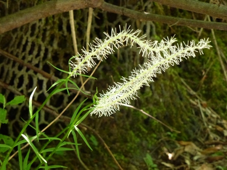c0042418_20552013.jpg