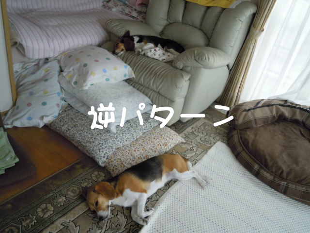 c0166622_15564967.jpg
