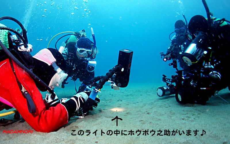 b0044726_9452493.jpg