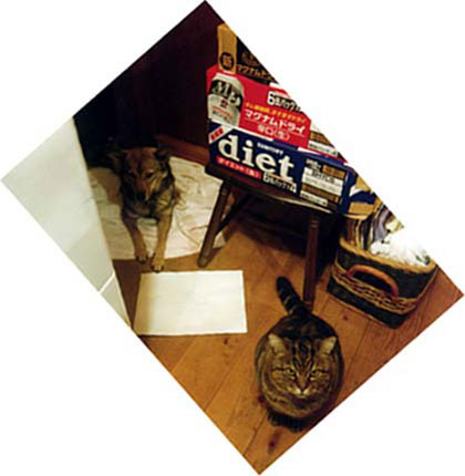 b0143231_23351346.jpg