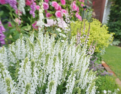 f0205733_139665.jpg