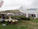 f0167635_5141617.jpg