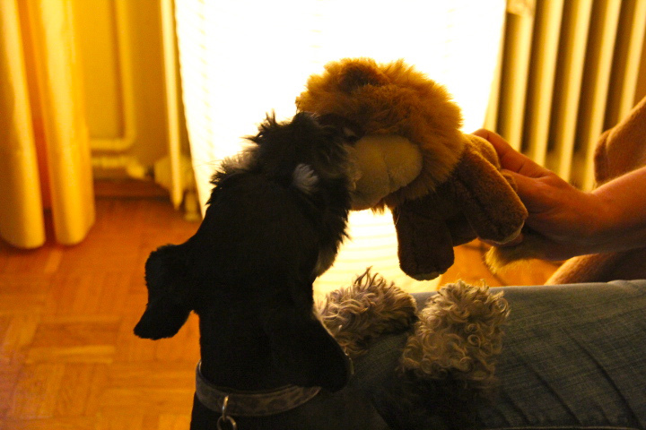 c0153740_5222921.jpg