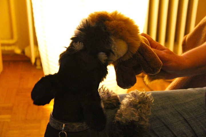 c0153740_5232651.jpg