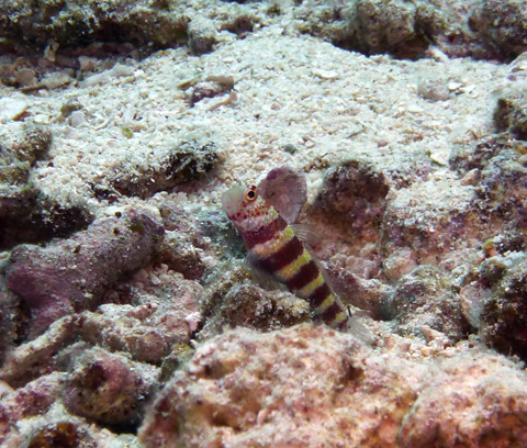 f0014842_1725784.jpg