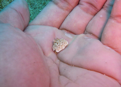 f0014842_1784015.jpg