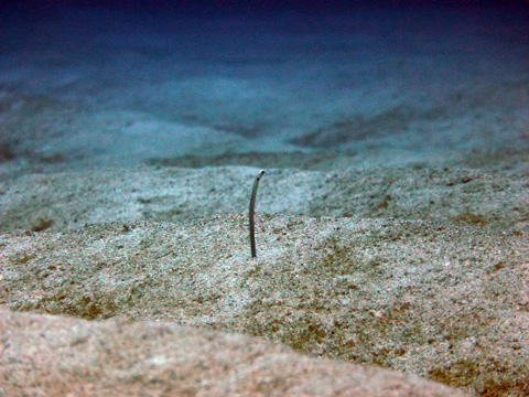 f0014842_178843.jpg