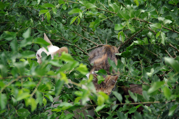 f0149442_9225350.jpg