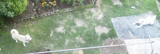 f0195543_19123037.jpg