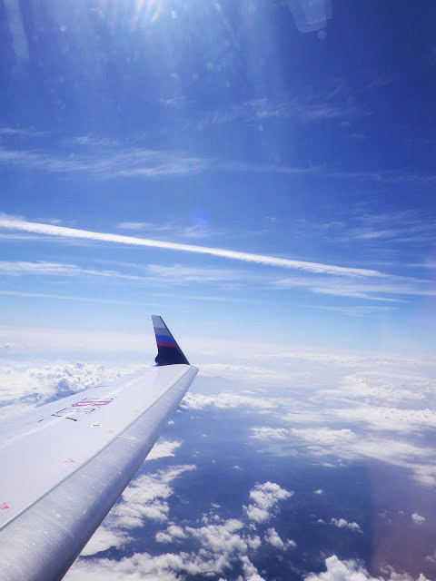 c0015444_16315076.jpg