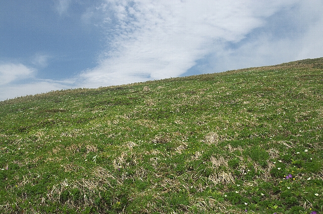 b0122448_20254197.jpg