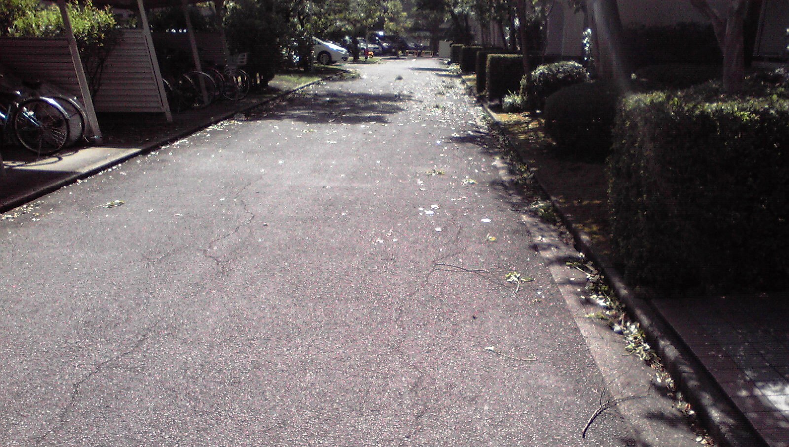f0057955_17214716.jpg