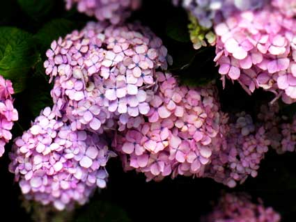 d0029958_20232891.jpg