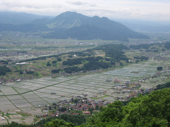 b0218664_8381249.jpg