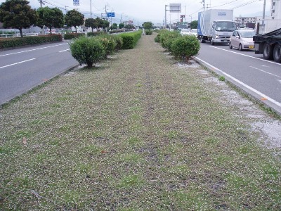 e0197164_9202634.jpg