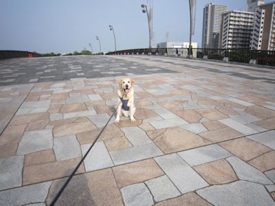 e0158775_2241435.jpg