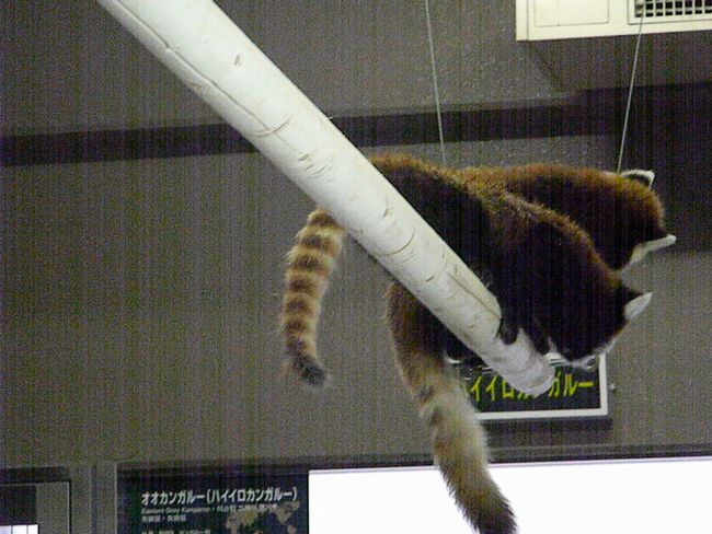 b0014576_23304956.jpg