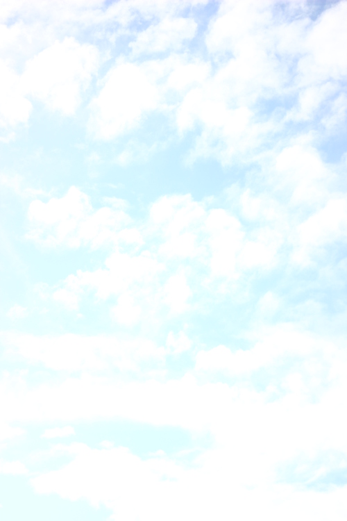 d0056777_8111054.jpg