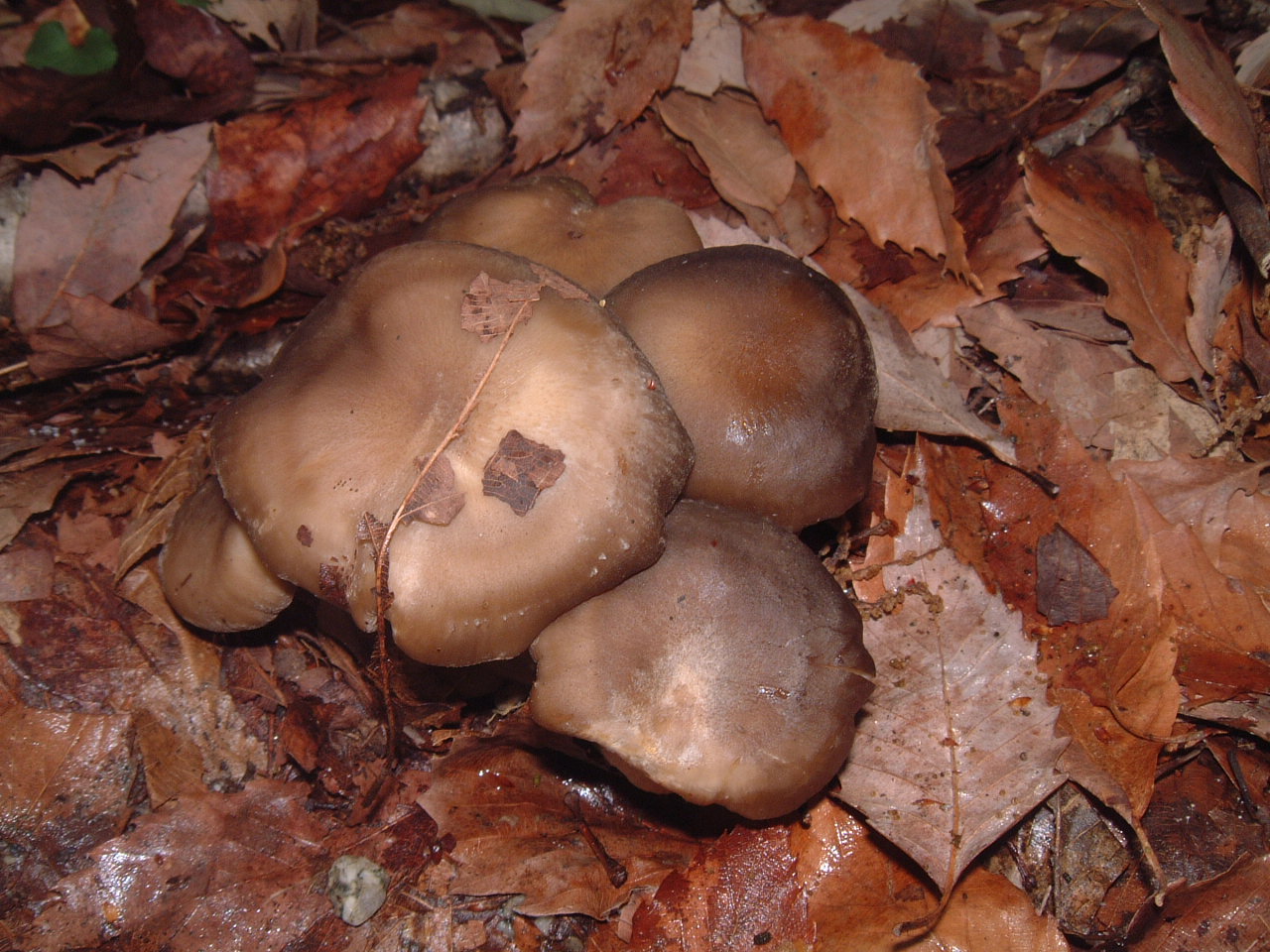 c0237780_1536595.jpg
