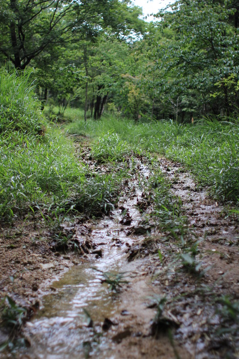 e0024081_1832429.jpg