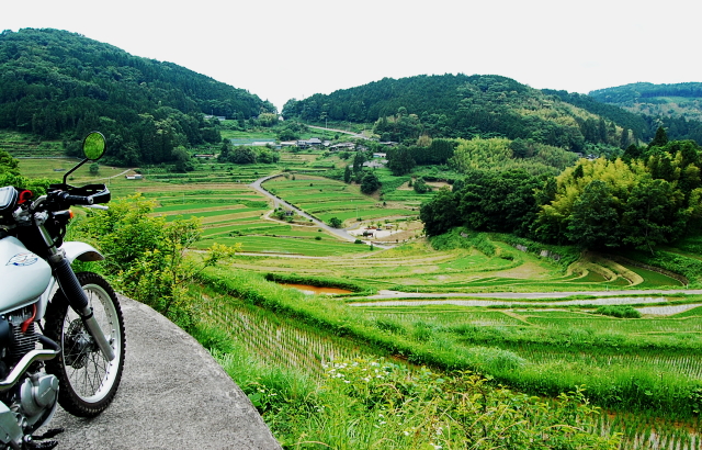 d0179983_1751236.jpg