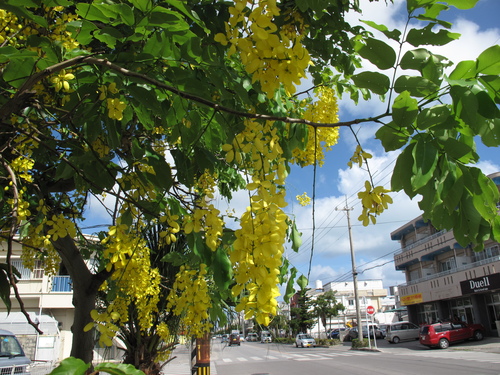 c0064389_10441311.jpg