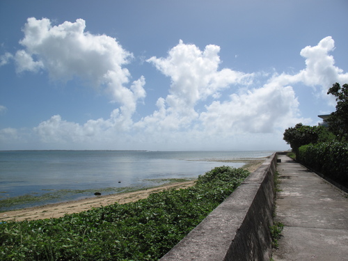 c0064389_1143034.jpg