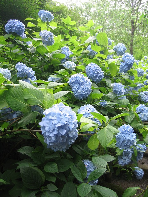 c0087094_1803872.jpg