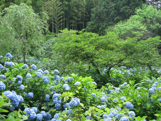 c0087094_187563.jpg