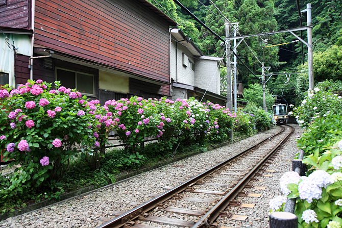 c0025895_23354540.jpg