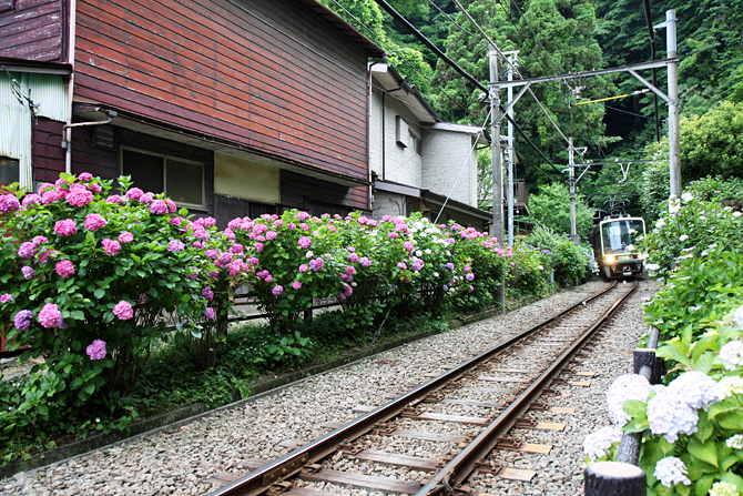 c0025895_23361361.jpg