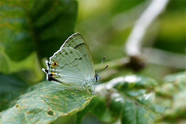d0001300_1338763.jpg