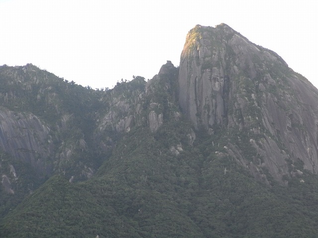 f0187402_22102474.jpg