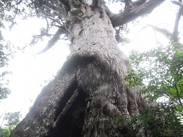 f0187402_22105990.jpg