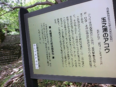 e0197807_177547.jpg