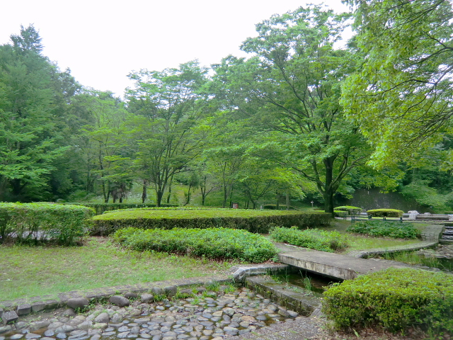 d0170615_6103617.jpg