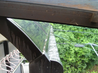 f0000521_2059988.jpg