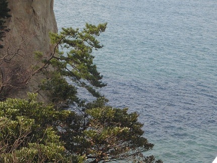 f0000521_6102974.jpg