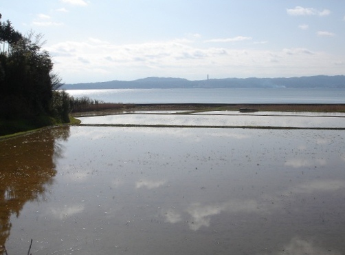 f0000521_6103640.jpg