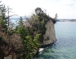 f0000521_691328.jpg