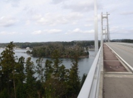f0000521_695457.jpg