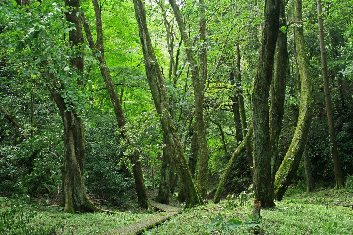 c0104227_9322859.jpg
